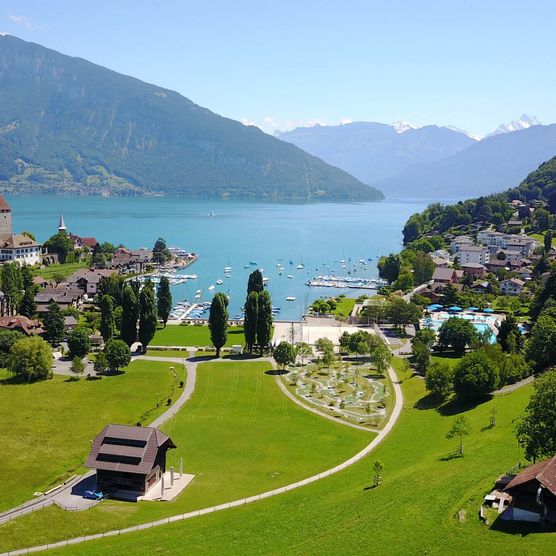 Blick im Sommer auf die Spiezer Bucht mit Schloss Spiez und Thunersee