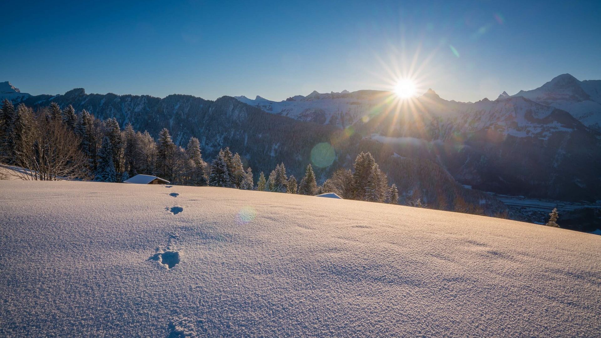 Sonnenaufgang in Beatenberg im Winter