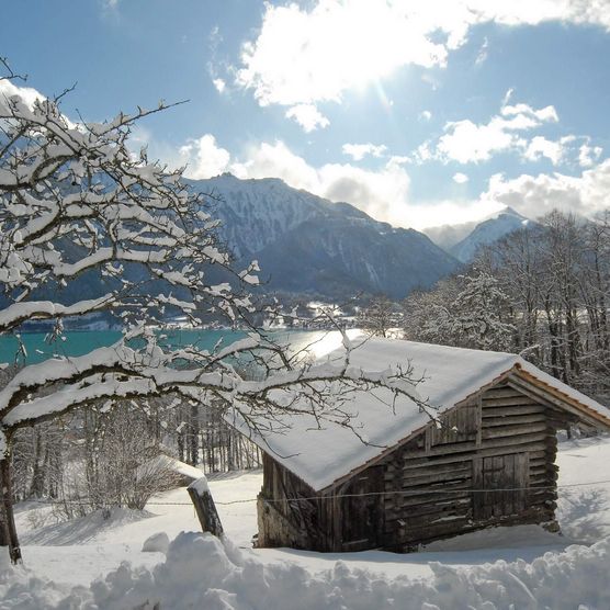 Ein Spazierpfad führt durch die märchenhafte Winterlandschaft und vorbei an einer verschneiten Hütte