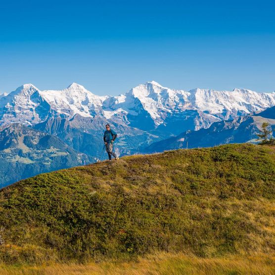 Ein Sportler beim Trail Running in der wunderschönen Herbstlandschaft bei Beatenberg. Im Hintergrund Eiger, Mönch und Jungfrau.