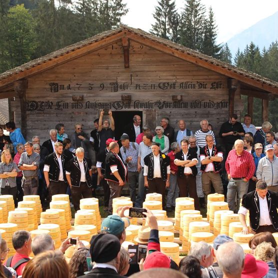 Älpler losen Käse aus vor dem Speicher auf einer Alpweide im Justistal