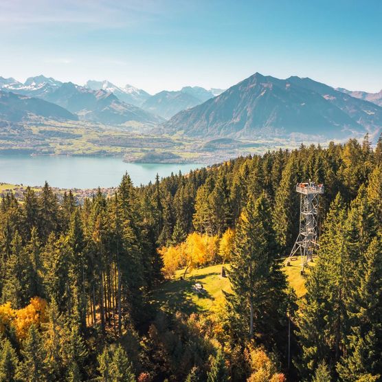 Luftaufnahme vom Aussichtsturm Blueme in Sigriswil mit Blick auf den Thunersee