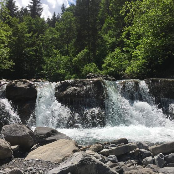 Sprudelnder Bach Suld mit Steinen und grünem Wald